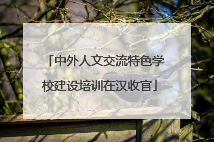 中外人文交流特色学校建设培训在汉收官
